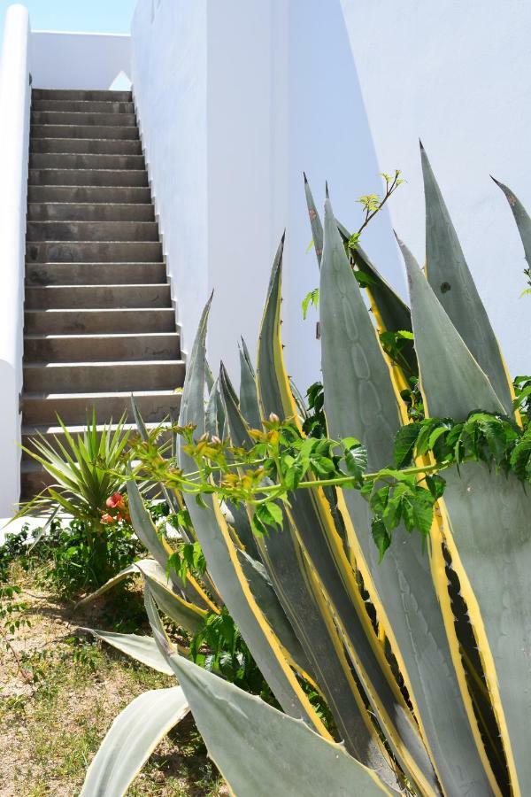 Hotel Katerina Mylopotas Ngoại thất bức ảnh